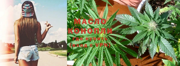 дживик Бородино
