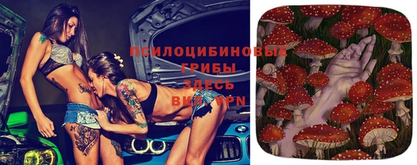 мяу мяу мука Бугульма