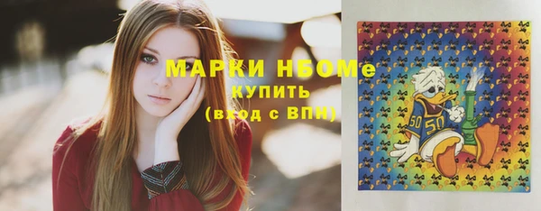 дживик Бородино
