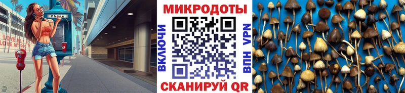 купить наркотик  Киселёвск  Галлюциногенные грибы MAGIC MUSHROOMS 